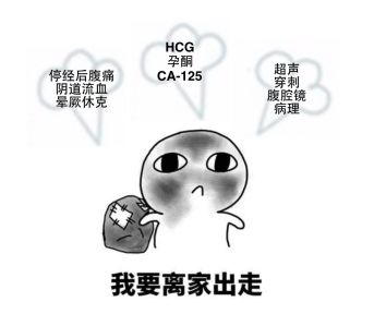 hcg值能判断胎心胎芽吗,hcg值能判断怀孕吗