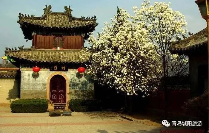 青岛城阳旅游线路推荐,青岛城阳一日游推荐