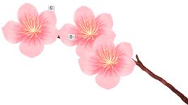 关于hpv宫颈癌您了解多少,如何知道自己得了宫颈hpv