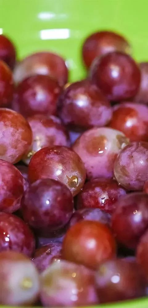 深圳龙岗自助餐性价比最高推荐,龙岗有什么自助餐推荐