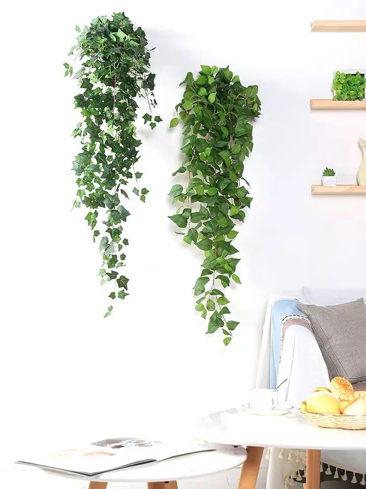 绿植装饰艺术,绿植造型效果图