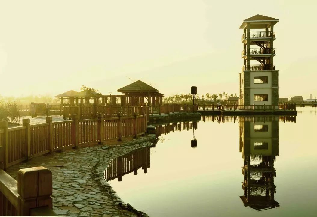 中东欧合作区为什么定在沧州,沧州中东欧企业合作区