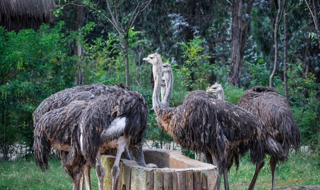 全面开挂！盘龙区大发展！未来不可估量！