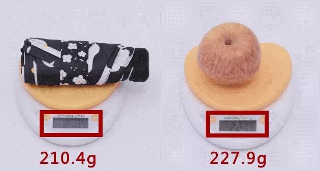 口袋伞日本,日本口袋遮阳伞