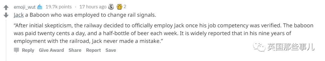 棕熊参军打仗，猫咪击败一支*队军**...真实的历史故事比小说脑洞更大