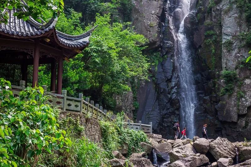 助力家乡发展旅游,助力家乡旅游业发展