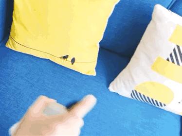 蚊子驱蚊驱虫,杀虫剂对蚊子有效又安全