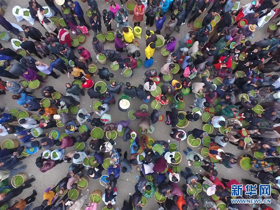 4月6日福建天气,福建4月1号至4号的天气