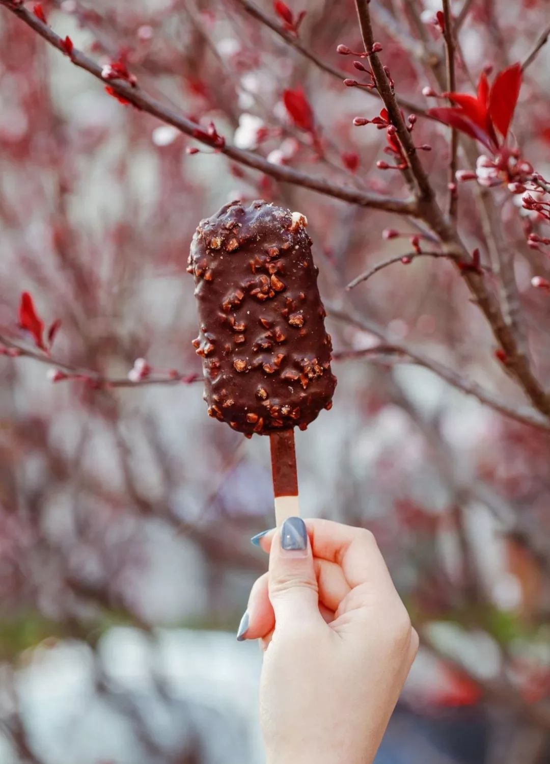 7.11便利店什么雪糕值得买,适合便利店的雪糕