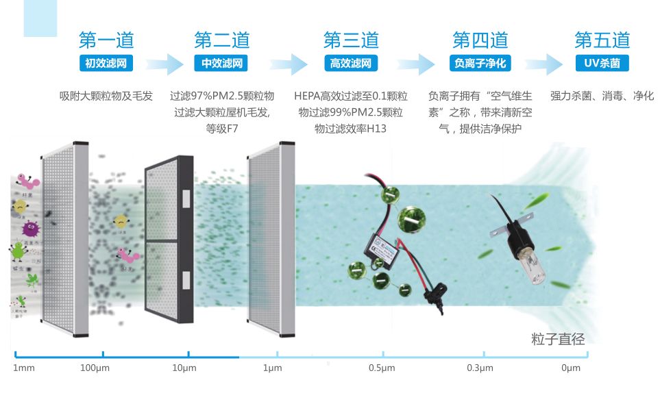 肠道导致皮肤过敏怎么调理最有效,春天皮肤过敏是湿气吗