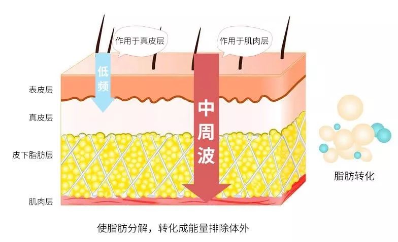 低情商开撕真戏精?”野蛮少女“与素人同行玩出真性情