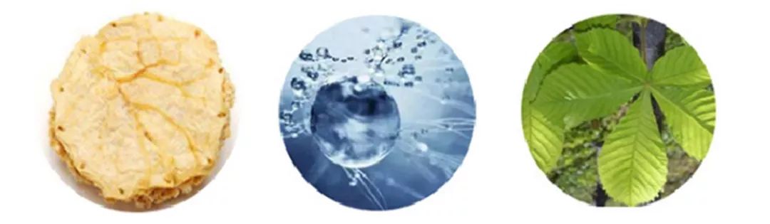 媲美大牌的平价面霜，不到一个月让我白了两度，连斑都看不见了！