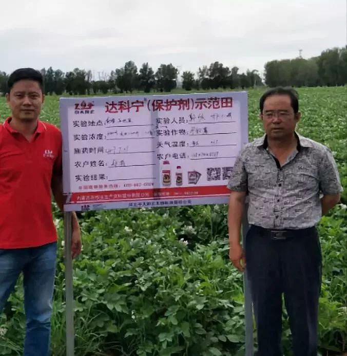 达科宁悬浮剂苗期能用吗,达科宁悬浮剂