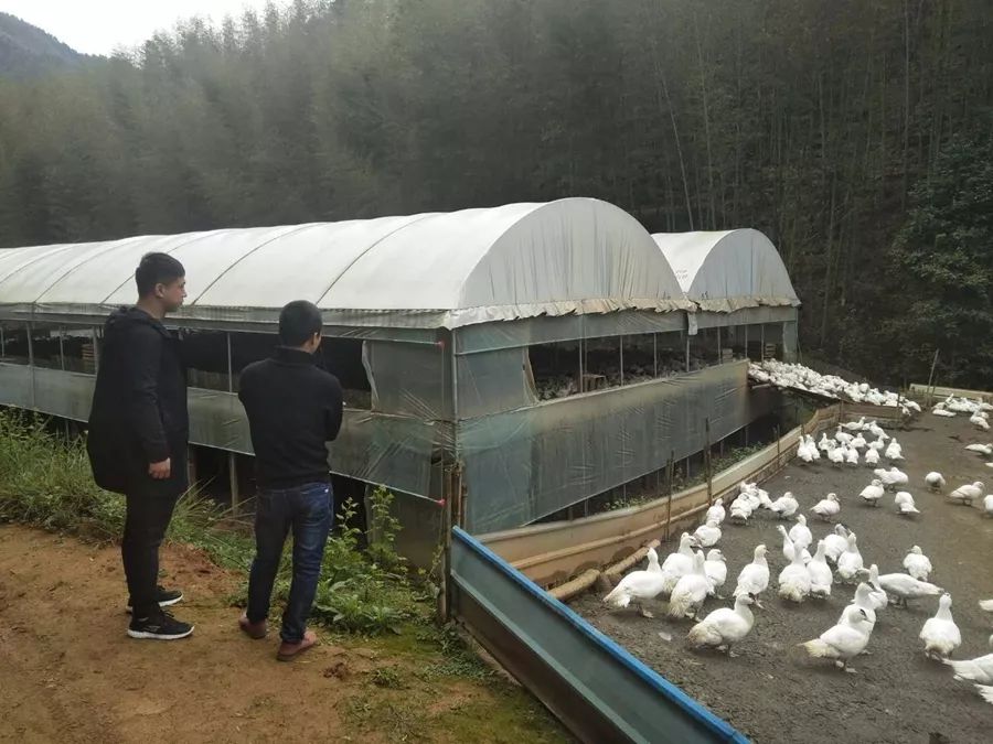 戒毒后创业成功的案例,戒毒故事大全100篇