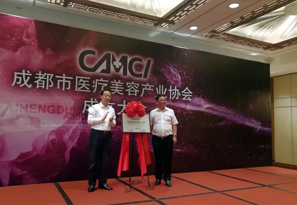 整容机构哪家强,全球整容业