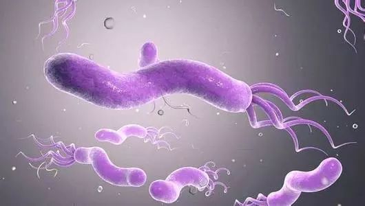 一人感染幽门螺杆菌一家都有吗,全家都感染幽门螺旋杆菌怎么治疗