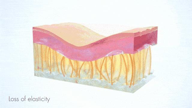 麻范儿好物|日本“吸油圣斗士”，1天1条，7天瘦出小蛮腰！酸酸甜甜，比果冻还好吃