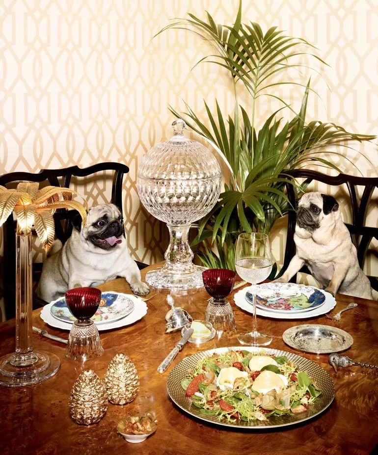 时尚吃货,时尚明星吃货