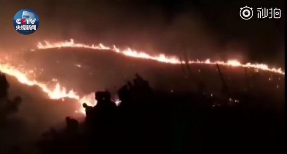 今日话题：单位食堂节假日期间对游客开放〡早安，张家界（343期）