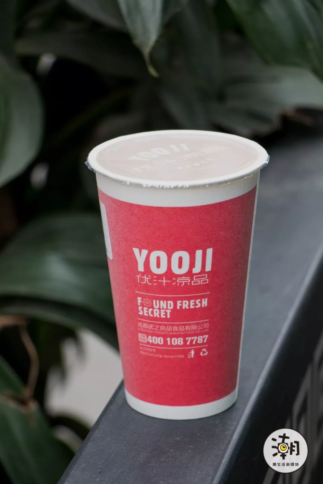 茶与布朗餐饮,茶与布朗加盟店