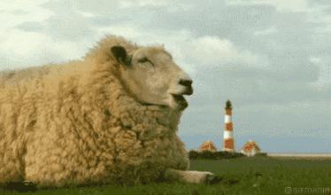 网上卖的几十块乳胶枕是真的,泰国原装进口乳胶枕儿童