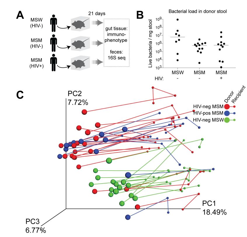 百晓生|PLoSPathogens：你的*伴侣性**可以改变你体内的微生物群