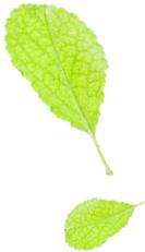 老虎坑水整治提升见成效，昔日臭水沟变身休闲运动“打卡地”！