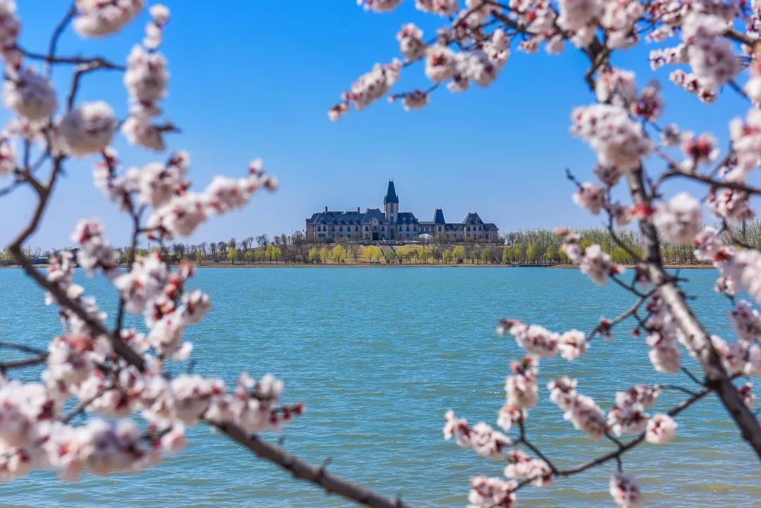 希尔顿酒店景点,希尔顿酒店附近游玩攻略