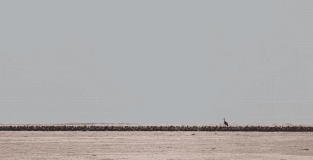 bbc经典必看十大纪录片,bbc十大经典纪录片9.9