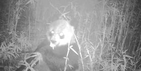 独一无二!《秘境之眼》的野生动物们喊你来逛世界自然遗产