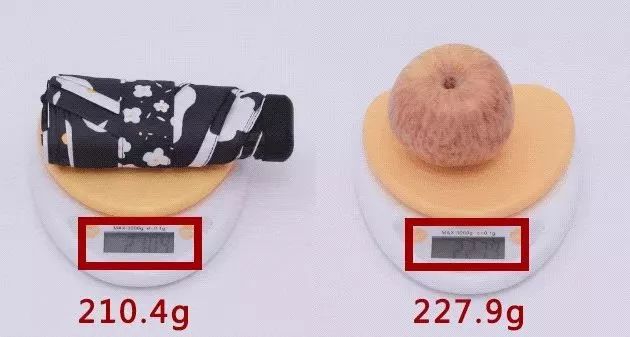 变态口袋伞测试,日式变态口袋伞