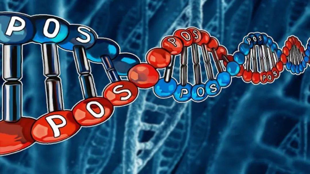 v神抛币,v神发表对屎币最新看法