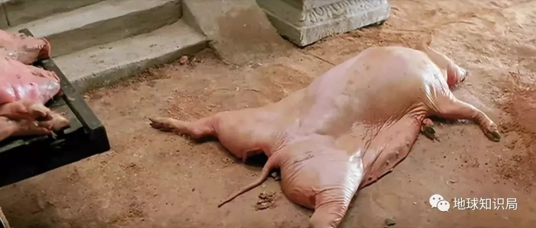 广东话有多强，你识得唔识得啊