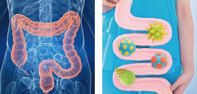 全网黑转粉，看曾经土肥圆如何逆袭碾压一种超模