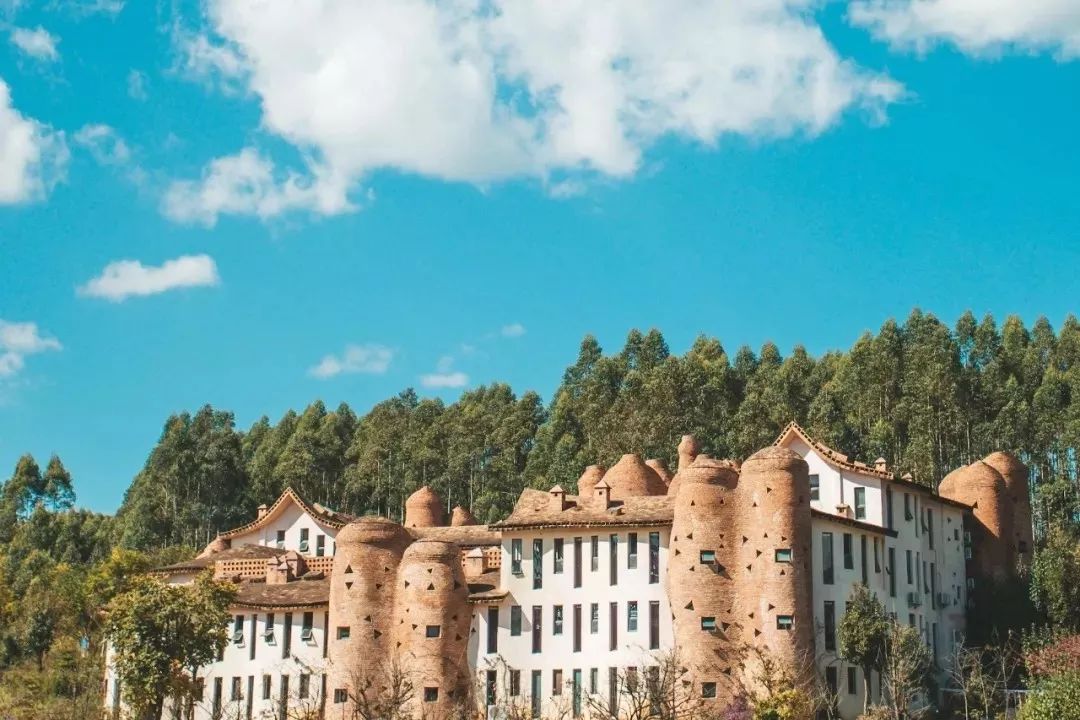 5折入住,抖音推荐的网红酒店