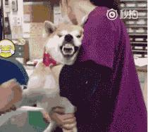 感冒发烧为什么大医院不建议输液,感冒发烧正确的输液处方