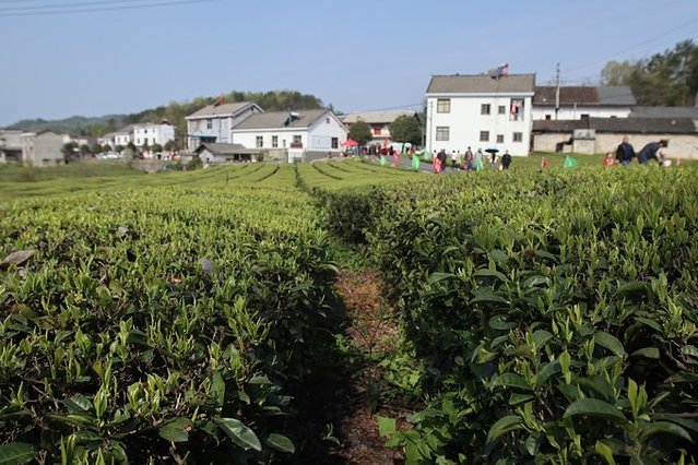 去哪儿首发：72小时玩转宜都，穿越古今，看大自然和人类文化的碰撞