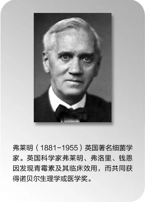 抗菌药物科普知识ppt,抗菌药物科普