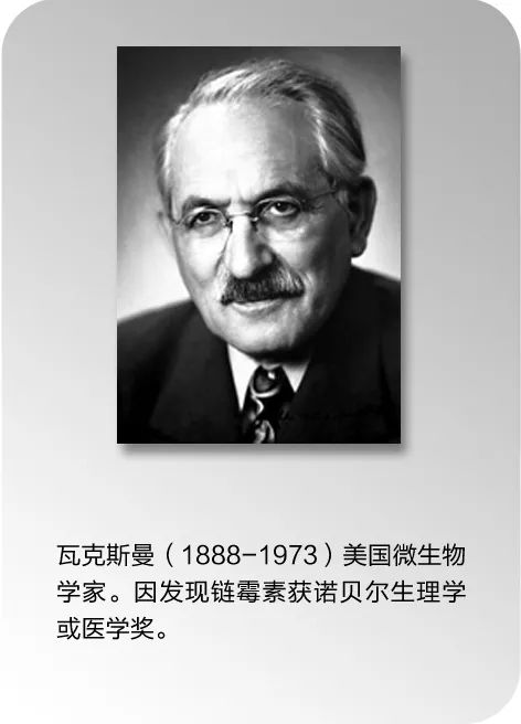 探秘药物的前世今生,科普知识古代药膏