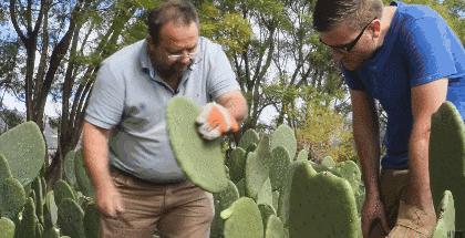 BBC又来惊爆：你抹口红，就是在亲吻上万只昆虫尸体？美丽背后这么血腥…