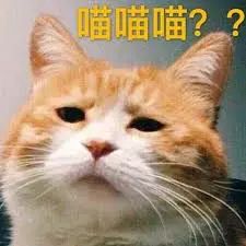 荷语宝典|姓“笑什么，别笑”和“咋地”的荷兰人上辈子是冤家吧？