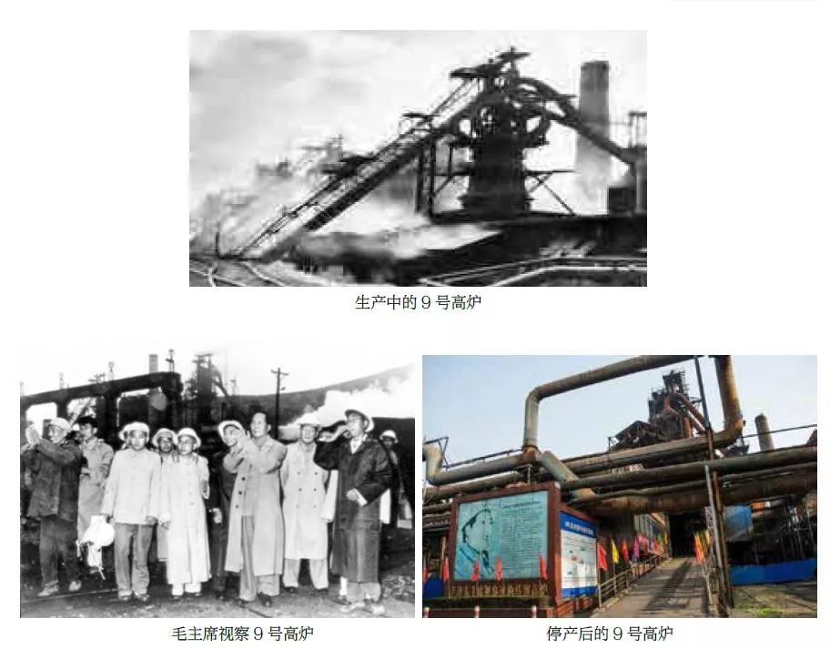 【早安·芜湖】中山南路的10多棵大树为何被砍？