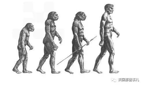 人类进化过程中体毛变少了,人类体毛为什么变少了