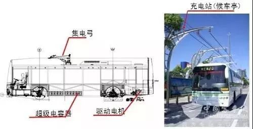 为了替你出气，我们给讨厌的杨柳絮来个“以暴制暴”