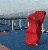 鲅鱼圈为什么那么火,为什么春风大