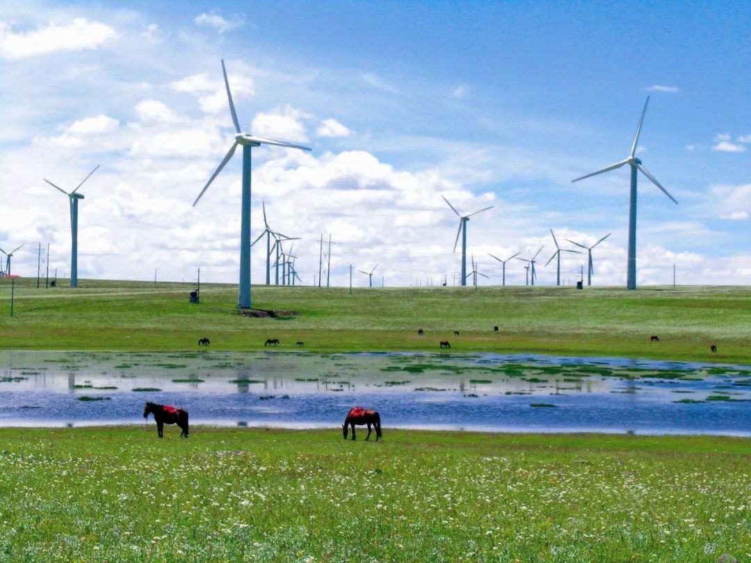 牛！原来内蒙古有这么多第一
