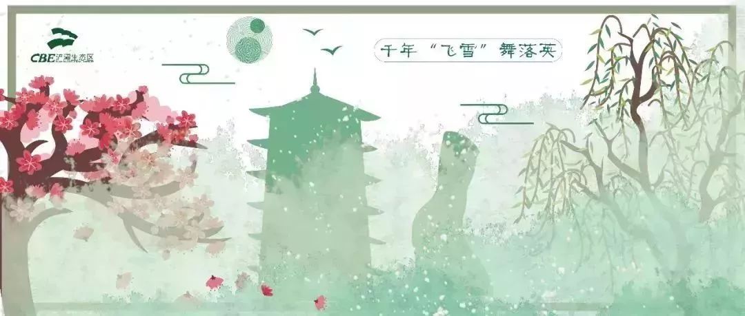 新宠驾到视频大全,新宠驾到完整视频