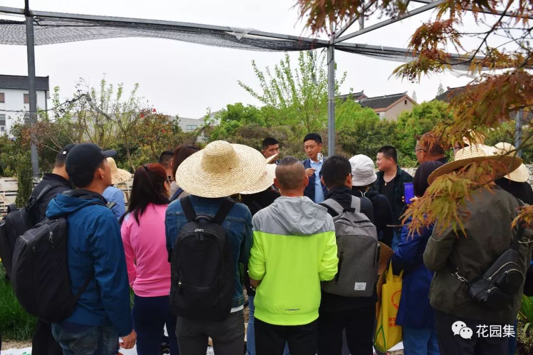 搴櫌姘存櫙鍠风亴,鍠风亴姘存櫙