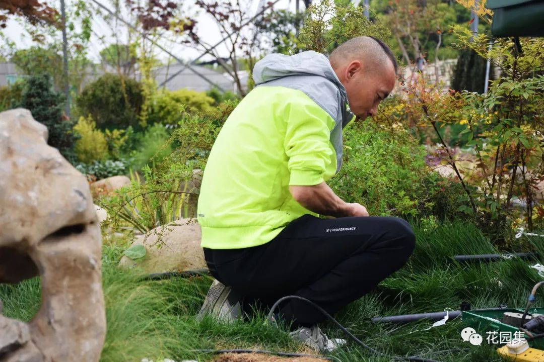 庭院自动喷灌效果图,地埋式喷灌庭院