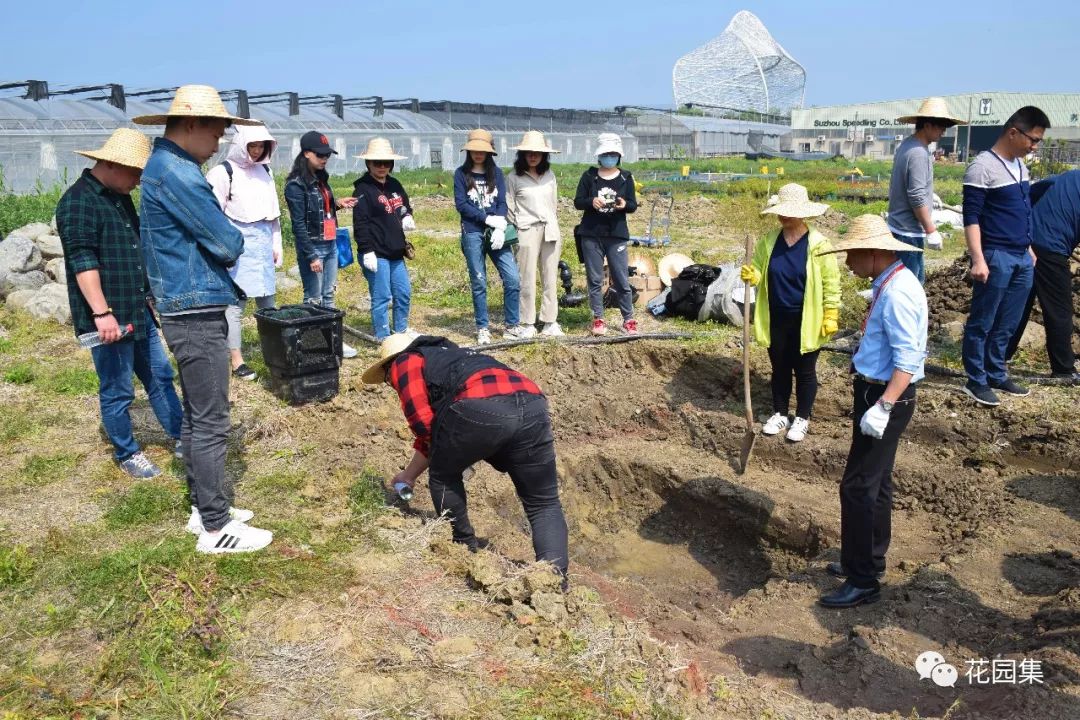 搴櫌姘存櫙鍠风亴,鍠风亴姘存櫙